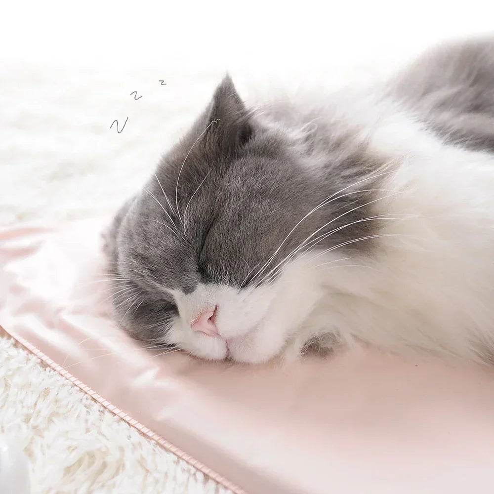 'WarmPaw' Electric pet Heating pad